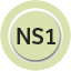 NS1