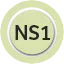 NS1